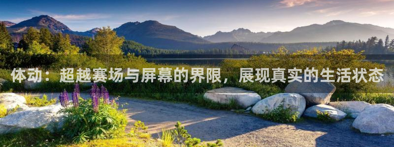 米兰体育官网下载是干嘛的公司：体动：超越赛场与屏幕的