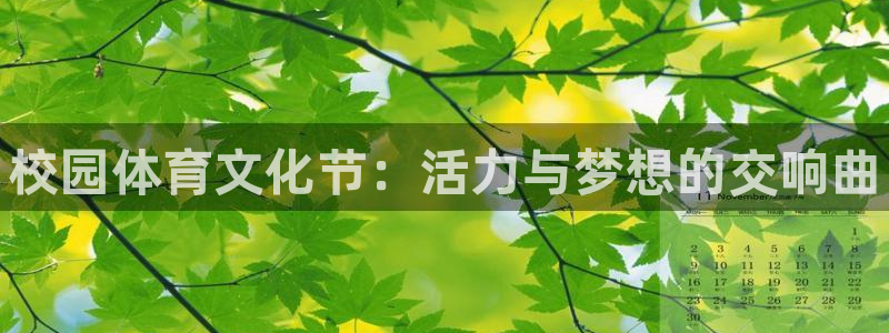 米兰体育官网下载招商电话号码：校园体育文化节：活力与梦想的交