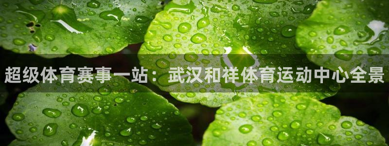 米兰体育官网下载平台假的吗是真的吗：超级体育赛事一站：武汉和