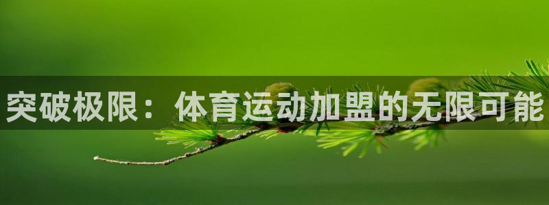 米兰体育官方正版app五金厂：突破极限：体育运动加盟的无限可