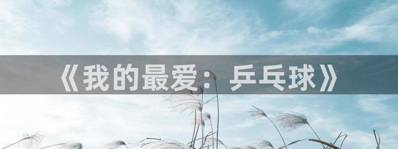 米兰体育官网下载注册：《我的最爱：乒乓球》