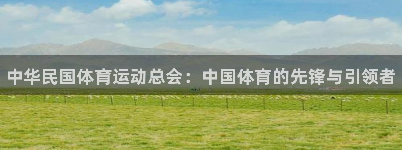 米兰体育官方正版app集团简介：中华民国体育运动总会