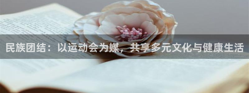 德国米兰体育官方正版app集团