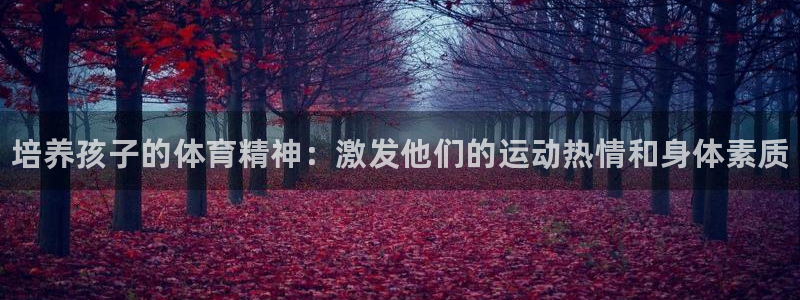 米兰体育官方正版app集团简介：培养孩子的体育精神：